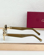 cartier  | CT01
